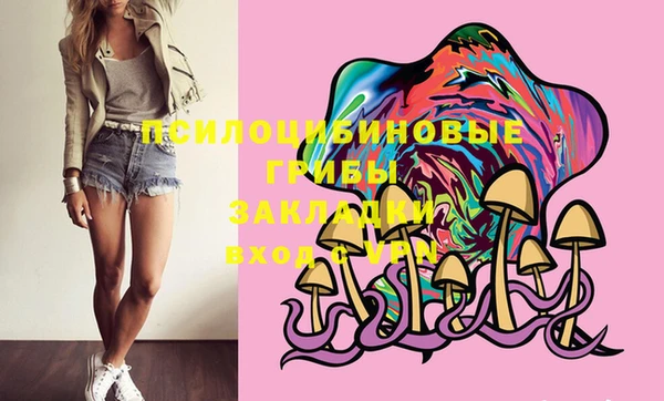 гашиш Щигры