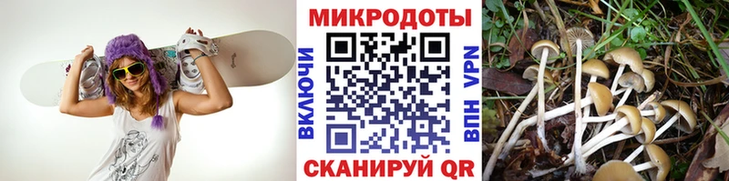 Псилоцибиновые грибы мухоморы  Купить закладки  Ярцево 