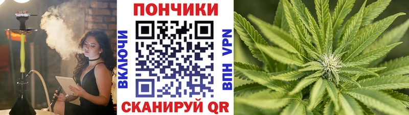 Купить закладки  Ярцево  Конопля LSD WEED 